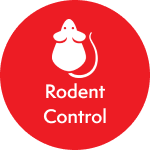 Rodent Control icon in red